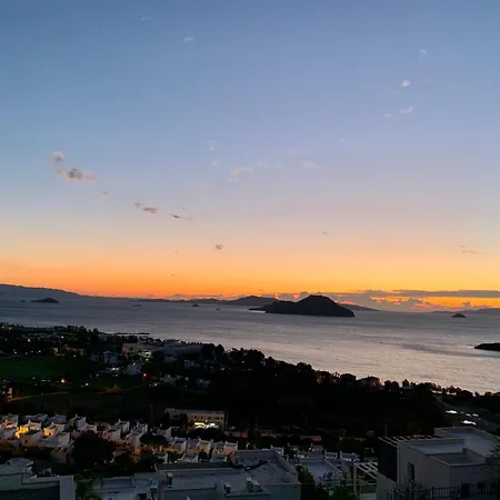 Aylinda With Private Heated Pool Villa Bodrum